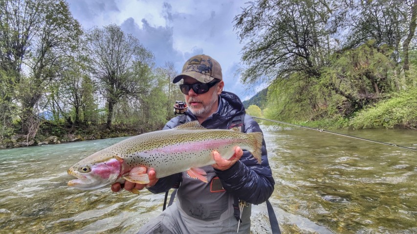 S Rainbow trout.
